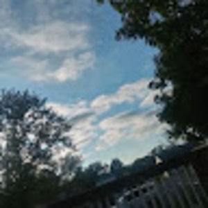 Meet your Posher, Tyrel